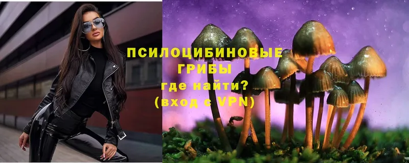 сайты даркнета как зайти  ОМГ ОМГ ССЫЛКА  Краснодар  Псилоцибиновые грибы MAGIC MUSHROOMS 